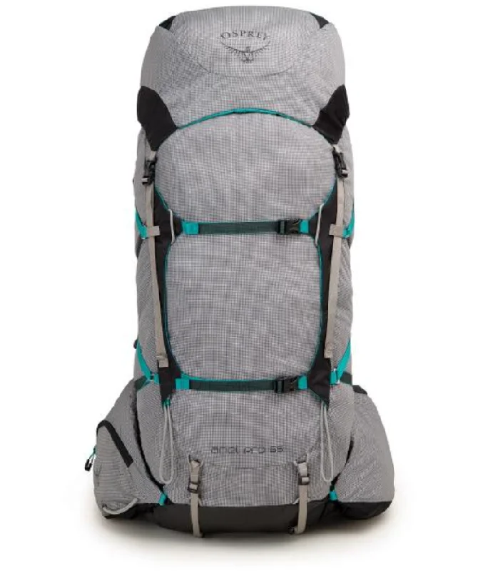 Spring Offer Ariel Pro 65 Pack - Womens