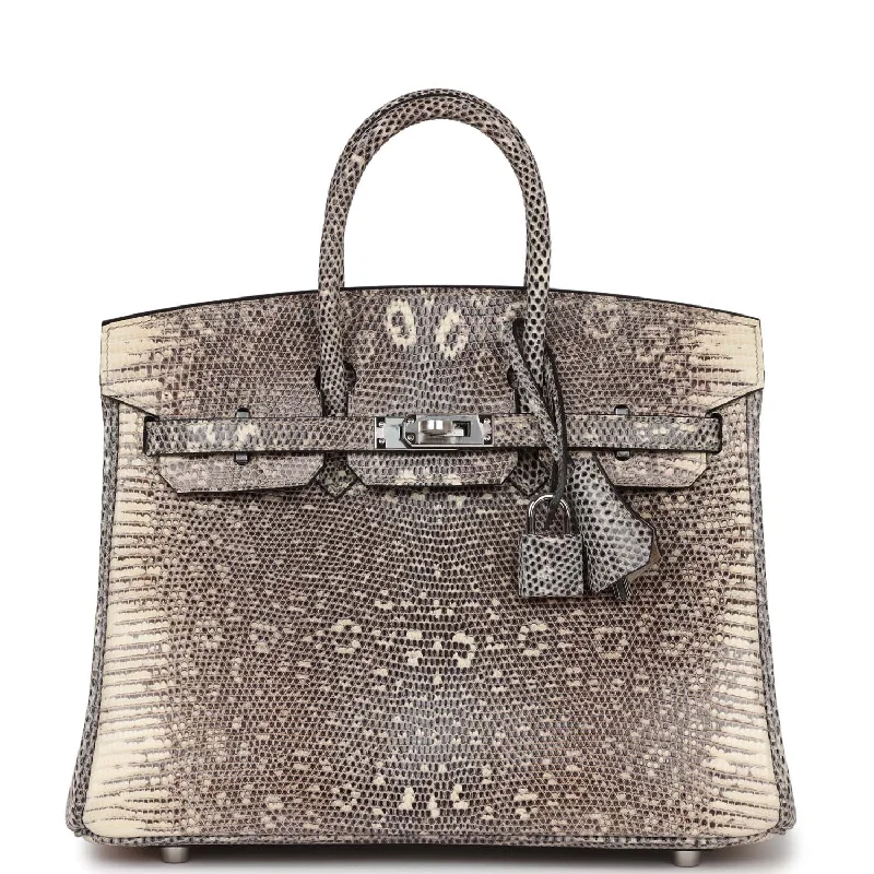 Hermes Birkin 25 Ombre Varanus Salvator Lizard Palladium Hardware