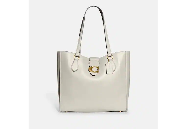 Coach Theo Tote